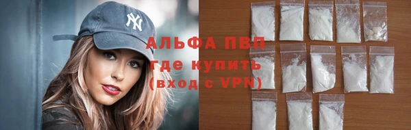 прущие грибы Арсеньев