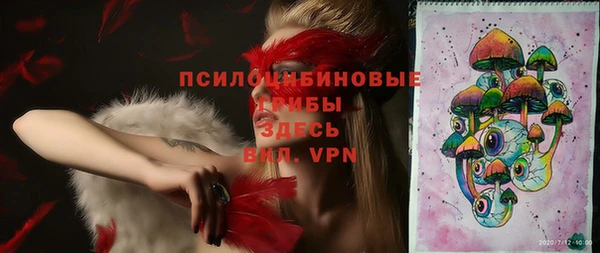 прущие грибы Арсеньев